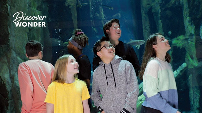 Kids looking at fish at the Great Lakes Aquarium