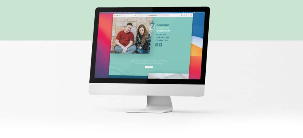 A computer screen with the ACE homepage